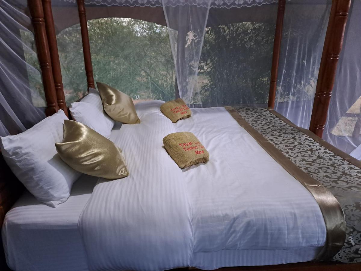 Tayari Luxury Tented Camp - Mara Hotel Sekenani Exterior photo